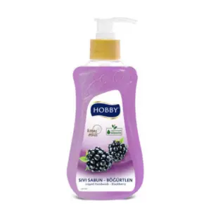 Hobby Black Raspberry Hand Wash, 400ml, Gentle Cleansing, Moisturizing Care and Refreshing Fragrance HHWBR400-12