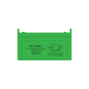 EVI Power Deep Cycle Solar Battery, 12V 100Ah, Maintenance Free, Renewable Energy Storage, Long Cycle Life EVIA100DC-12