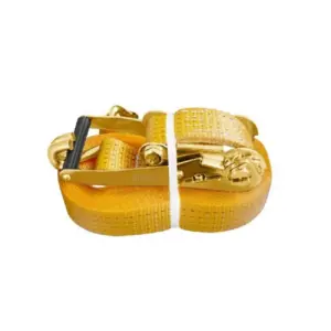 Ingco Cargo Belt 5T 10m HRSP5101