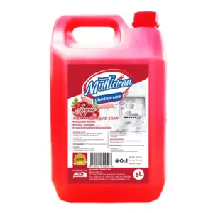 Multi Clean Dishwashing Liquid Soap 5L Apple