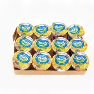 Asas Yoghurt 100ml Strawberry (EX-E)