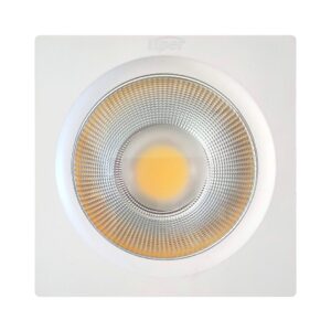 Africab Liper 20W Warm COB Downlight Tanzania
