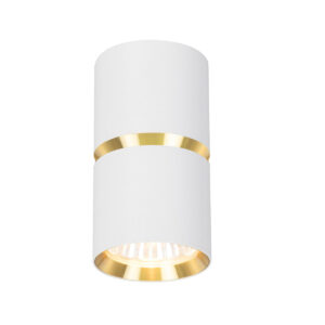 Tronic Ceiling Downlight Round Surface Mounted White