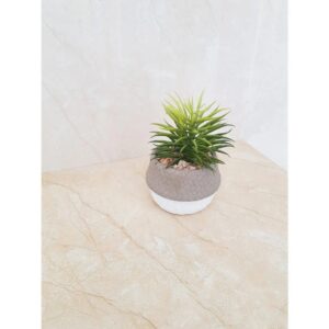 CTM Tropic Dark  Shiny Ceramic Wall Tile - 300 x 600mm